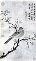 Ŵ