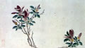 Ŵ