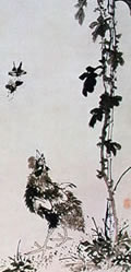 Ŵ