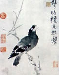 Ŵ