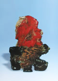 Ŵ