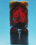 Ŵ