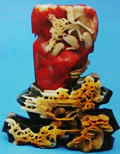 Ŵ