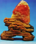 Ŵ