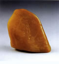 Ŵ