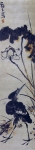 ﶬ---