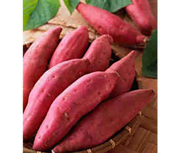 ԱƷŶԺ